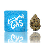 Cookies | THC-A Flower Bag  1G