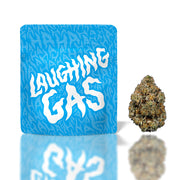 Cookies | THC-A Flower Bag  3.5G