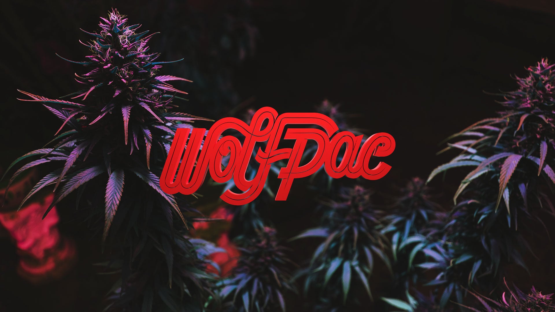 image-slide